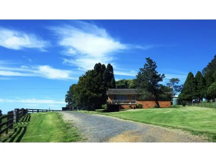 Fourth view of Homely rural property listing, 5287 Waterfall Way, Dorrigo NSW 2453