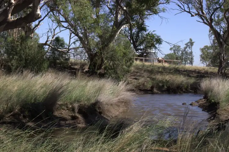 Seventh view of Homely rural property listing, .COOMA LEA CALADONIA Road, Baradine NSW 2396