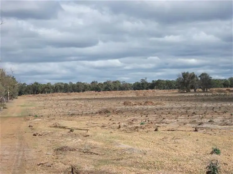 Fourth view of Homely rural property listing, 202 Parsons Road, Cranbrook WA 6321