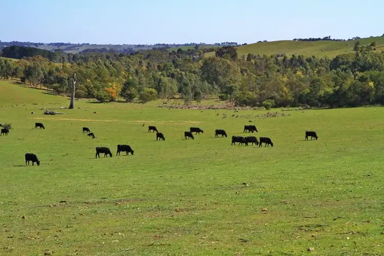 Second view of Homely house listing, 745 Heathcote East Baynton Road, Heathcote VIC 3523