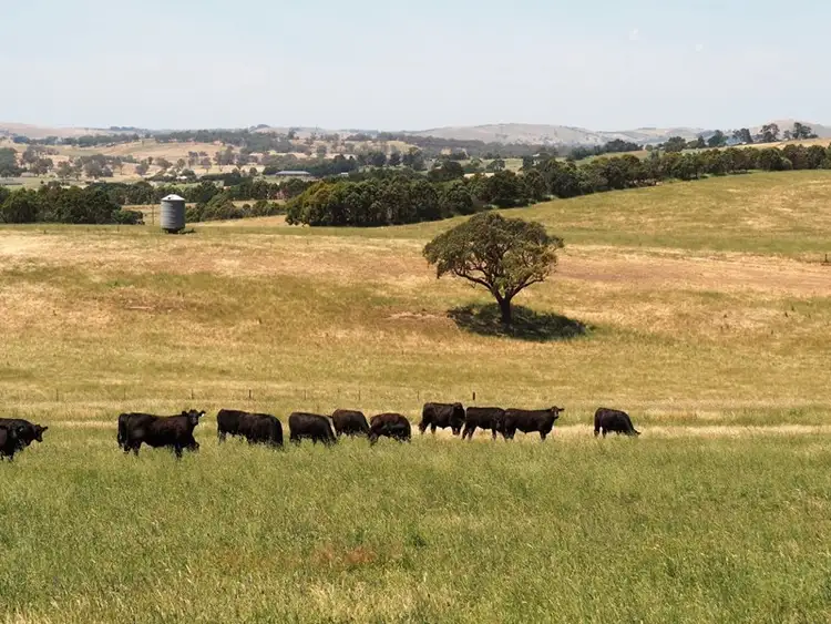 Fifth view of Homely rural property listing, Address available on request