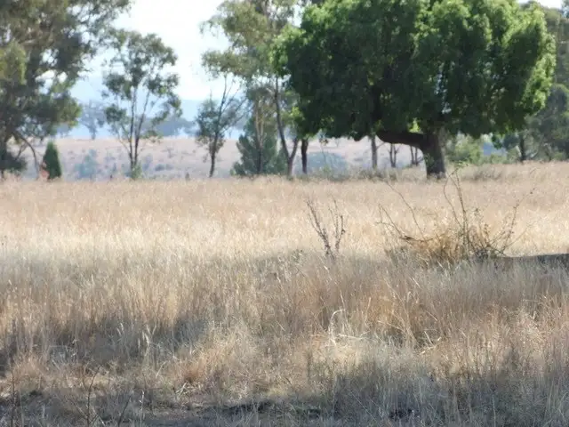 Sixth view of Homely rural property listing, ' BERNANDAWN', Coonabarabran NSW 2357