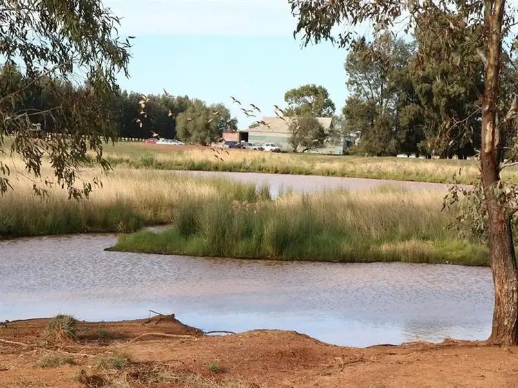 Fifth view of Homely rural property listing, 550 "Goolerong" Bogan Gate Road, Forbes NSW 2871
