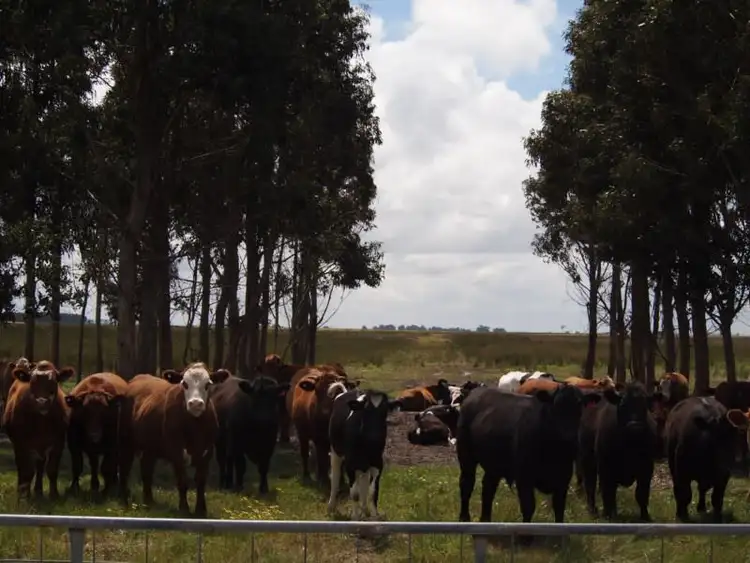 Sixth view of Homely rural property listing, Jim's Oven, Jim's Oven Road, Esperance WA 6450