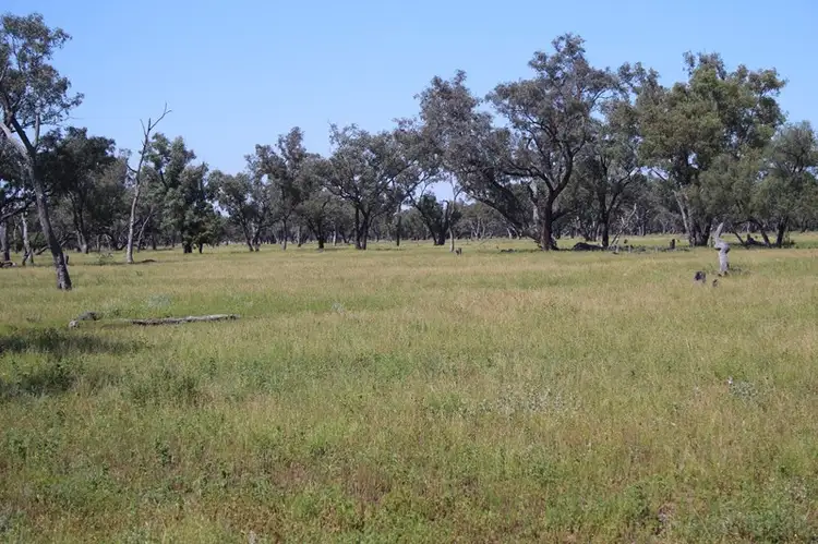 Fourth view of Homely rural property listing, 29351 Mitchell Highway, Charleville QLD 4470