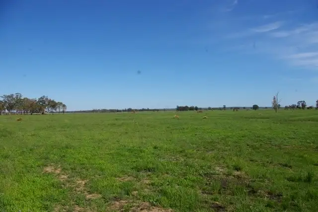 Sixth view of Homely rural property listing, 0 Texas-Yelarbon Road, Beebo QLD 4385