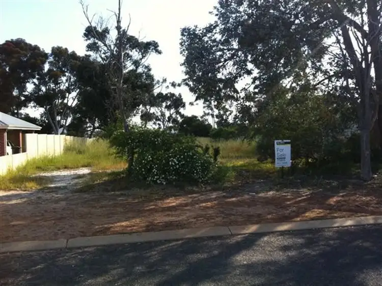 10 Andover Street, Katanning WA 6317