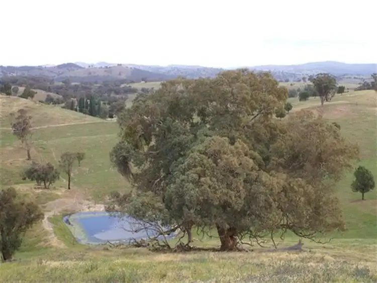 Third view of Homely rural property listing, 2345 Ophir Road, Orange NSW 2800