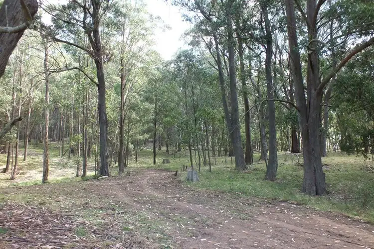 Third view of Homely rural property listing, Lot 3 189 Norman Lea Road, Hampton NSW 2790