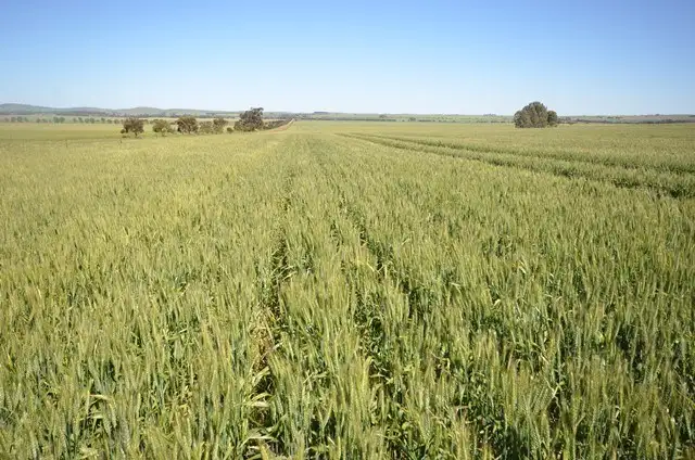 Sixth view of Homely rural property listing, Lots 21-25, 94 Sod Hut Road, Farrell Flat SA 5416