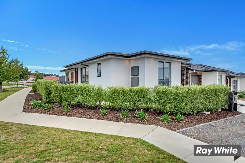 Main view of Homely house listing, 40 Tarling Street, Casey ACT 2913