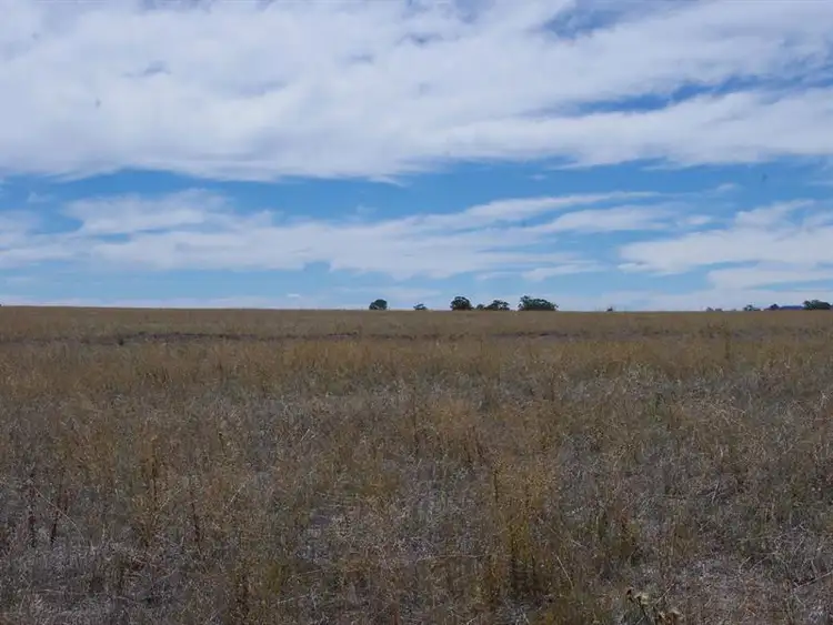 Seventh view of Homely rural property listing, Lot 123 Bypass Road, Inverell NSW 2360