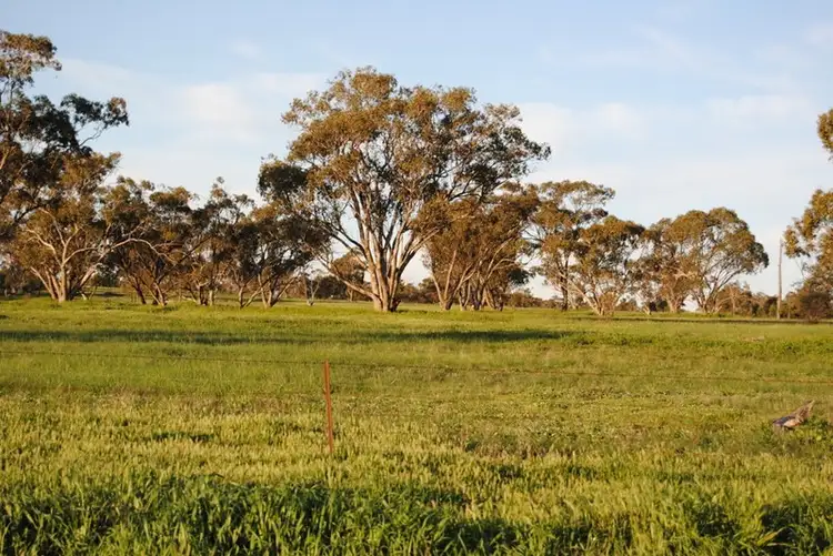 Pt Farm 86 Hulong Road, Widgelli NSW 2680