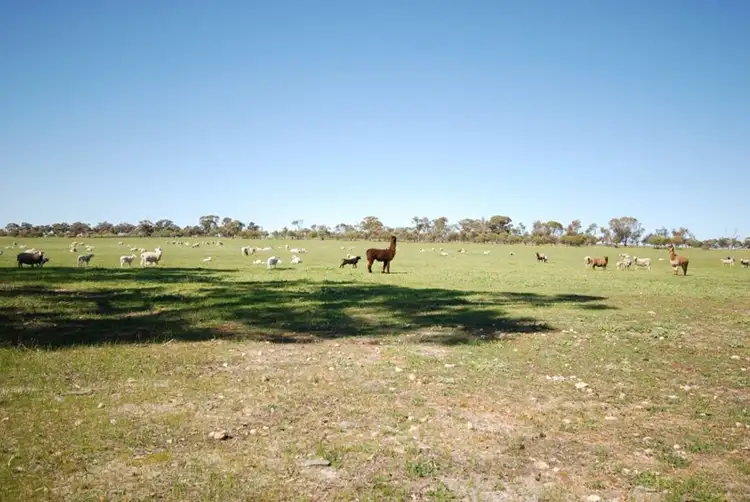 Sixth view of Homely land listing, 10 Yilliminning Road, Narrogin WA 6312