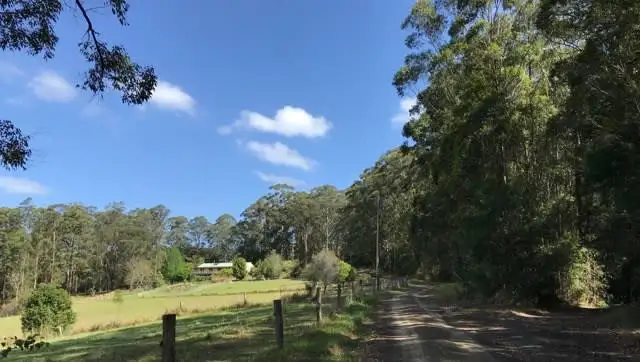 Main view of Homely rural property listing, 395 Waitui Road, Waitui NSW 2443