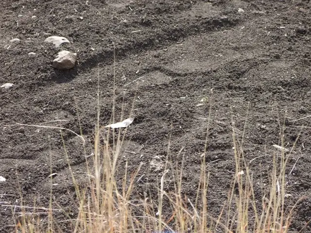 Fourth view of Homely rural property listing, ' BERNANDAWN', Coonabarabran NSW 2357