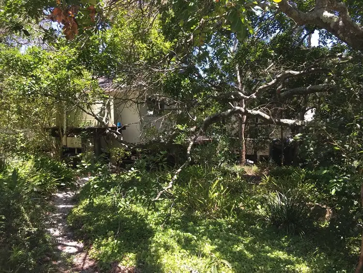 Fifth view of Homely house listing, 57 Mackerel Street, Noosa North Shore QLD 4565