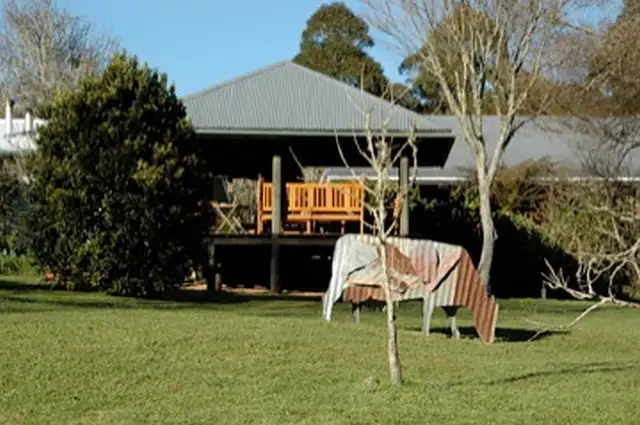 Fourth view of Homely rural property listing, 1461 Tyringham Road, Dorrigo NSW 2453