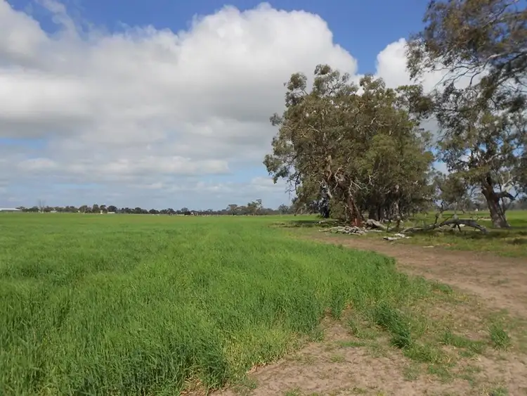 Sixth view of Homely land listing, Lot 101 Finlayson Road, Bordertown SA 5268