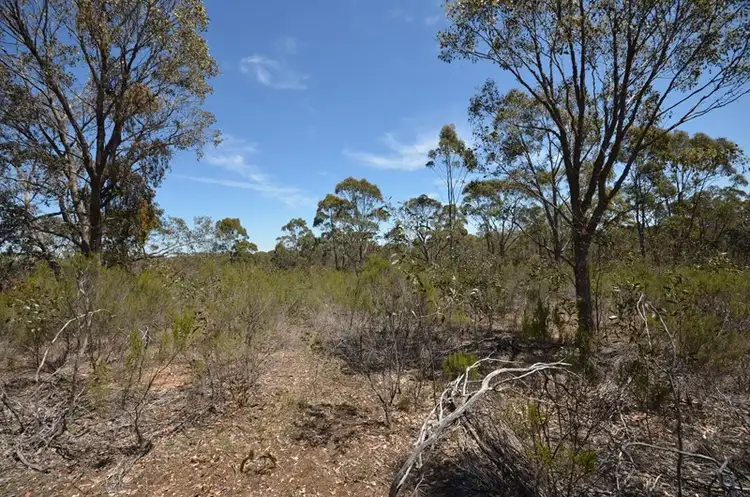 Fourth view of Homely rural property listing, Lot 3 Lillicur West Road, Lamplough VIC 3352