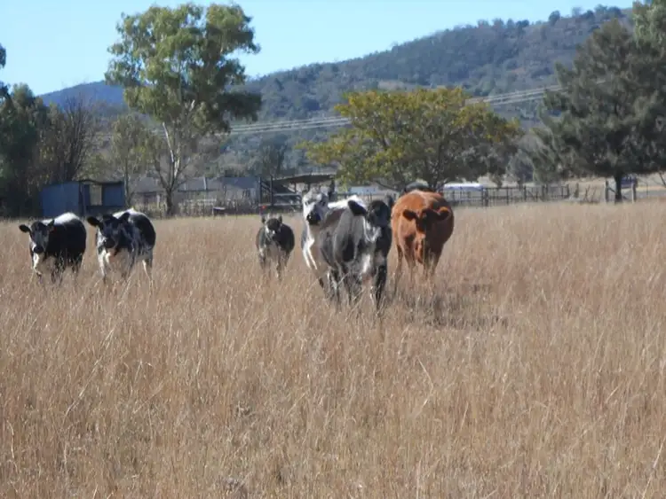 Third view of Homely land listing, Lot 2 633 Moore Creek Road, Tamworth NSW 2340