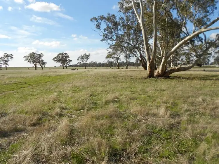 Main view of Homely rural property listing, 1177 My Mi Mi Road, Bangham SA 5268
