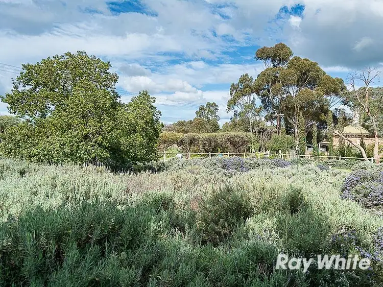 Fourth view of Homely land listing, 30 Montefiore Street, Callington SA 5254