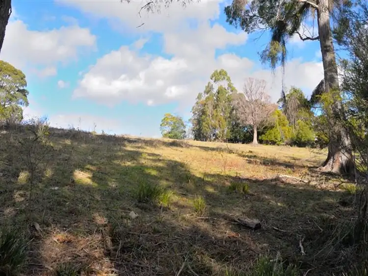 Sixth view of Homely land listing, (Lot 1) 163 Cuprona Road, Heybridge TAS 7316