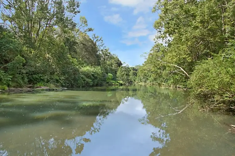 Second view of Homely rural property listing, 1706 Tyalgum Road, Tyalgum NSW 2484