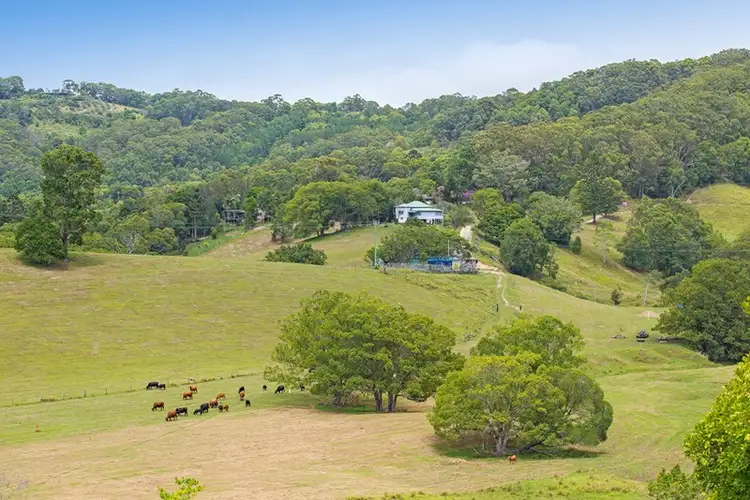 Fourth view of Homely rural property listing, 571 Clothiers Creek Road, Clothiers Creek NSW 2484