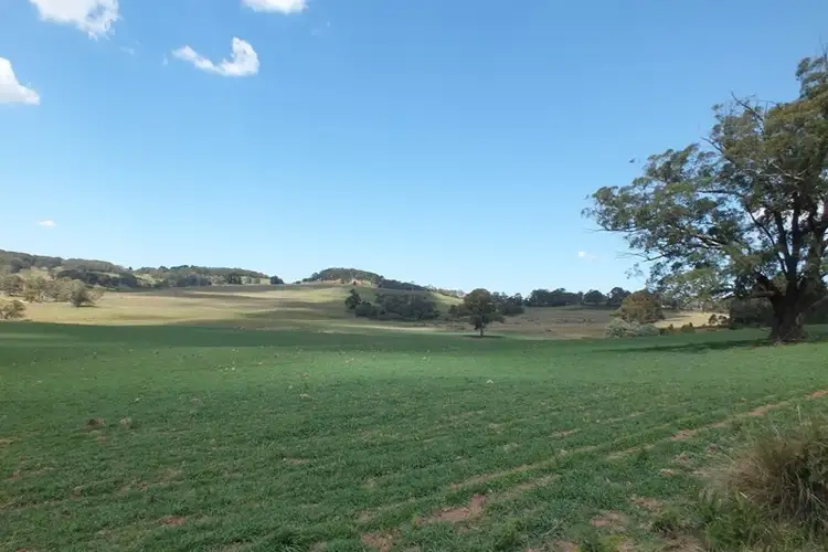 Sixth view of Homely rural property listing, Lot 3 189 Norman Lea Road, Hampton NSW 2790