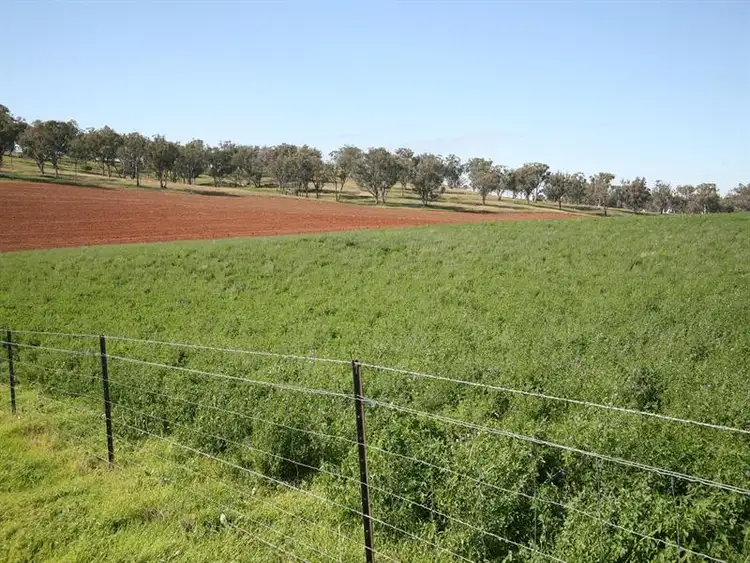 Fourth view of Homely rural property listing, "Searock" Blatches Lane, Yeoval NSW 2868