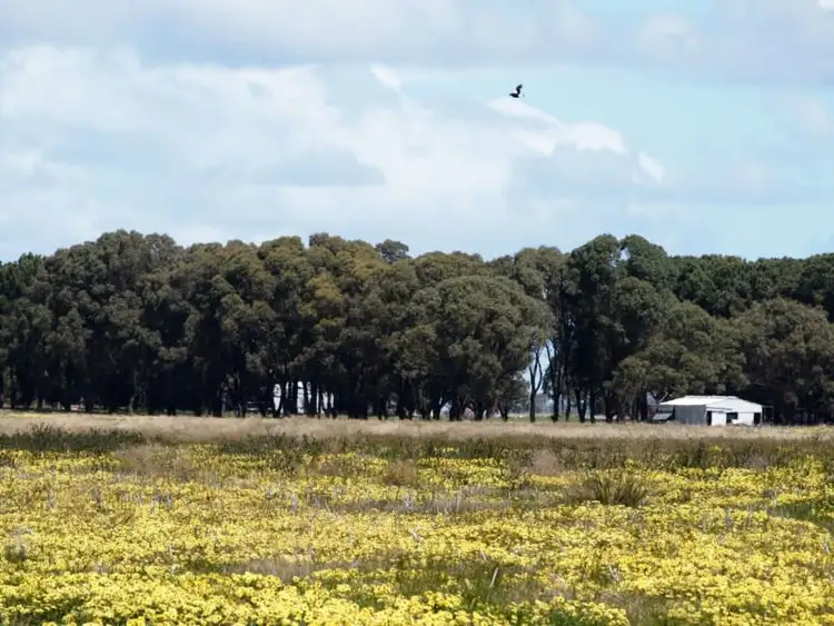 Third view of Homely rural property listing, Jim's Oven, Jim's Oven Road, Esperance WA 6450