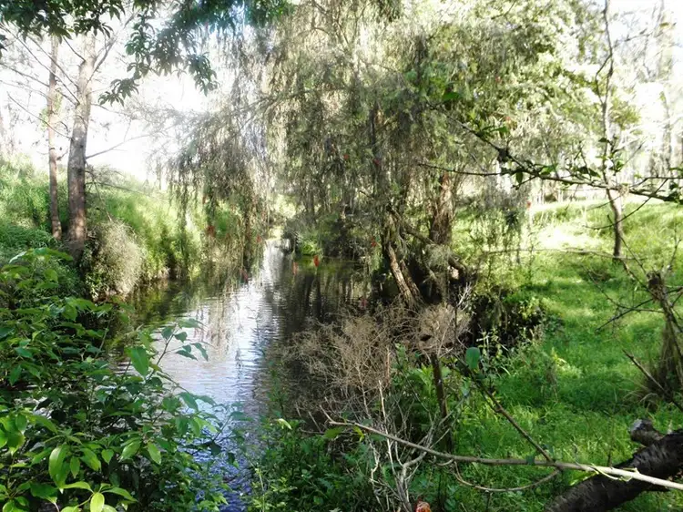 Second view of Homely rural property listing, Lot 25 Ironbark Lane, Nulkaba NSW 2325