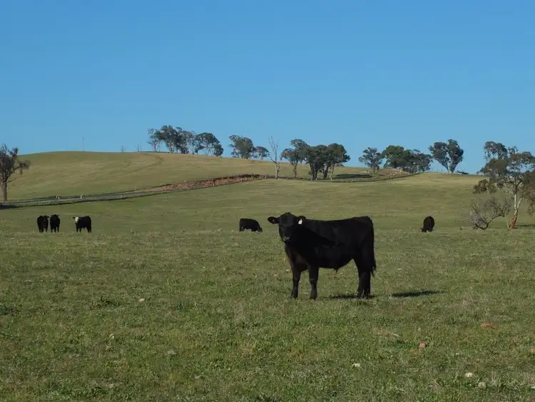 Fifth view of Homely land listing, Lot 6 O''Connell Plains Road, O'connell NSW 2795