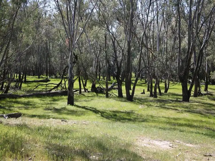 Seventh view of Homely rural property listing, Address available on request