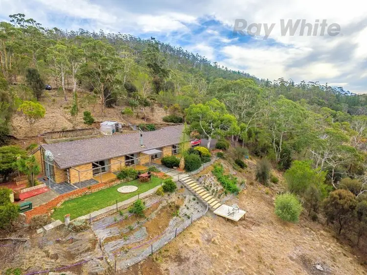 Main view of Homely house listing, 239 Tinderbox Road, Tinderbox TAS 7054