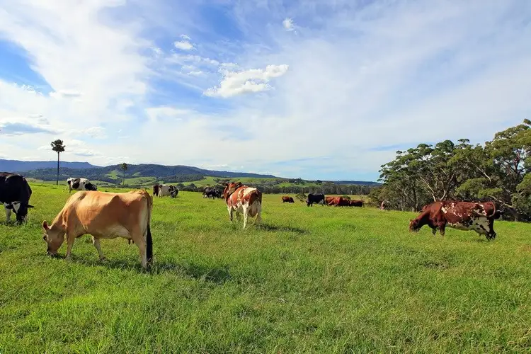 Second view of Homely rural property listing, 111 Sharpes Lane, Gerringong NSW 2534
