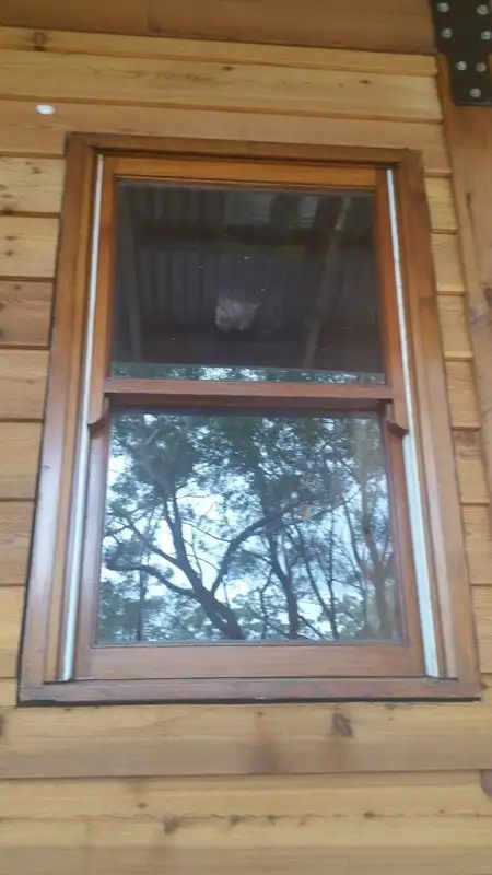 Fourth view of Homely house listing, 65 Fenton Road, Russell Island QLD 4184