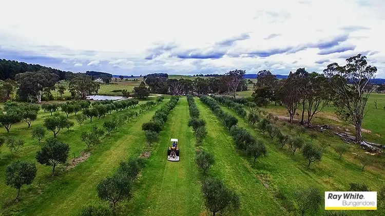 Fourth view of Homely rural property listing, 230 Shingle Hill Way, Bywong NSW 2621