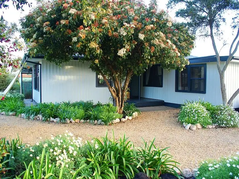 Main view of Homely house listing, 13 Lachlan Avenue, Murray Bridge SA 5253