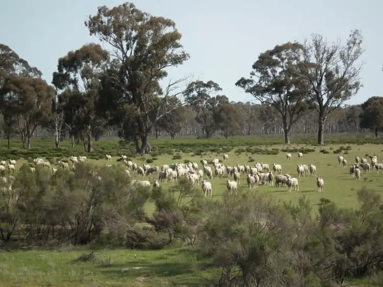 Third view of Homely rural property listing, "Buffalo" Buffalo Swamp Road, Kirwans Bridge VIC 3608