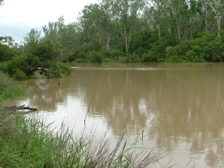 Third view of Homely rural property listing, 1776 Duaringa Biloela Road, Duaringa QLD 4712
