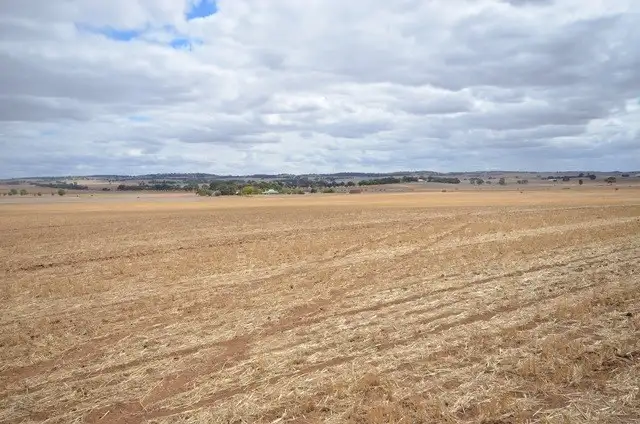 Fourth view of Homely rural property listing, "NJ's" Tarnma Road, Marrabel SA 5413