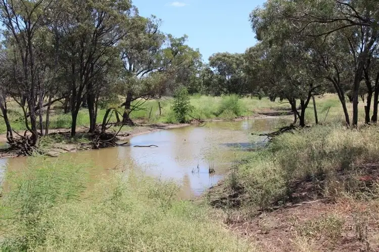 Fourth view of Homely rural property listing, "Cattle Creek" Diamond Downs Road, Clermont QLD 4721
