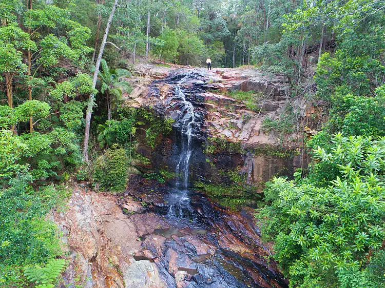 183 Tyalgum Ridge Road, Tyalgum NSW 2484