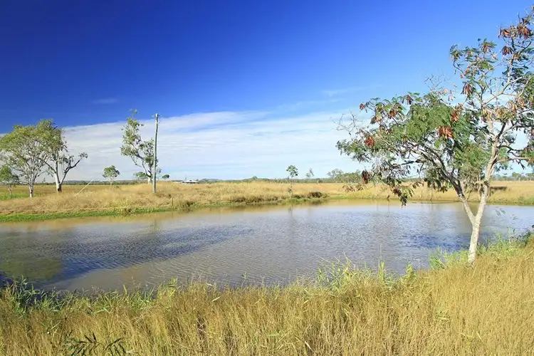Fourth view of Homely house listing, 381 Alton Downs - Nine Mile Road, Alton Downs QLD 4702