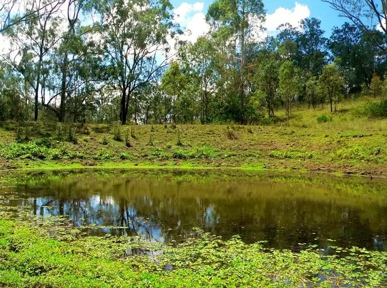 Main view of Homely rural property listing, Address available on request