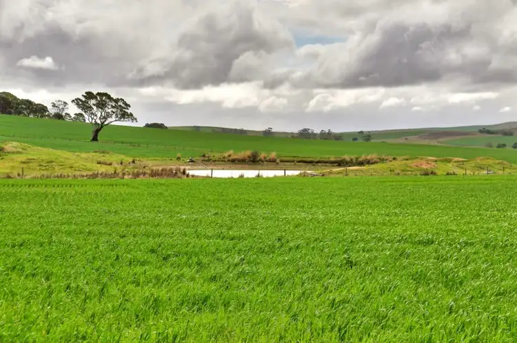 Fourth view of Homely rural property listing, "The Ridge" Barrier Highway, Manoora SA 5414