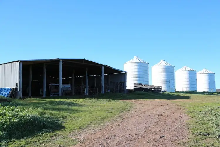 Second view of Homely rural property listing, 105 Peakview Road, Young NSW 2594